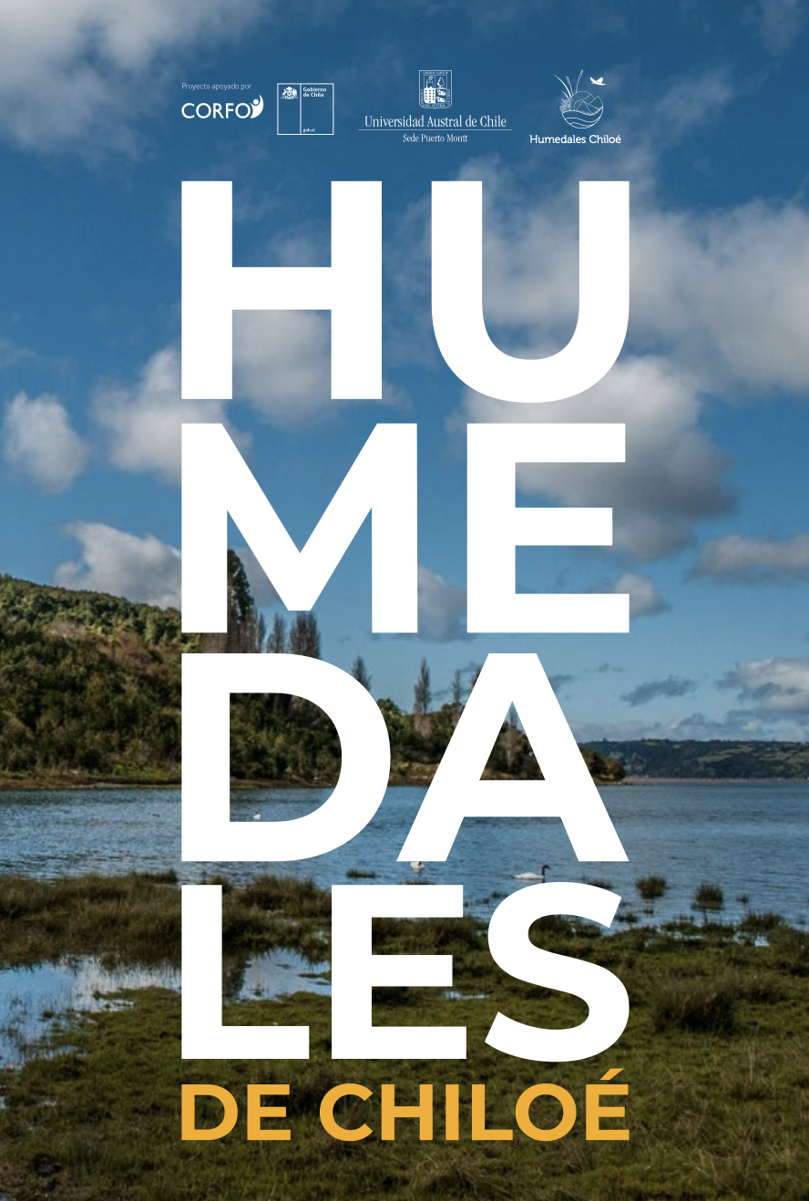 Captura de pantalla 2026-03-05 a la(s) 12.17.52